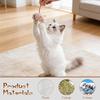 15 шт. Игрушки-мыши с кошачьей мятой для кошек, плюшевые мыши, мягкие набивные животные, интерактивные, реалистичные, развивающие игрушки-мыши для домашних кошек, игры, упражнения, охота