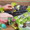 50/100 Pack Seed Starter Sponges Professional Hydroponics Sponges Kit Eco-Friendly Replacement Root Growth Sponges for Garden