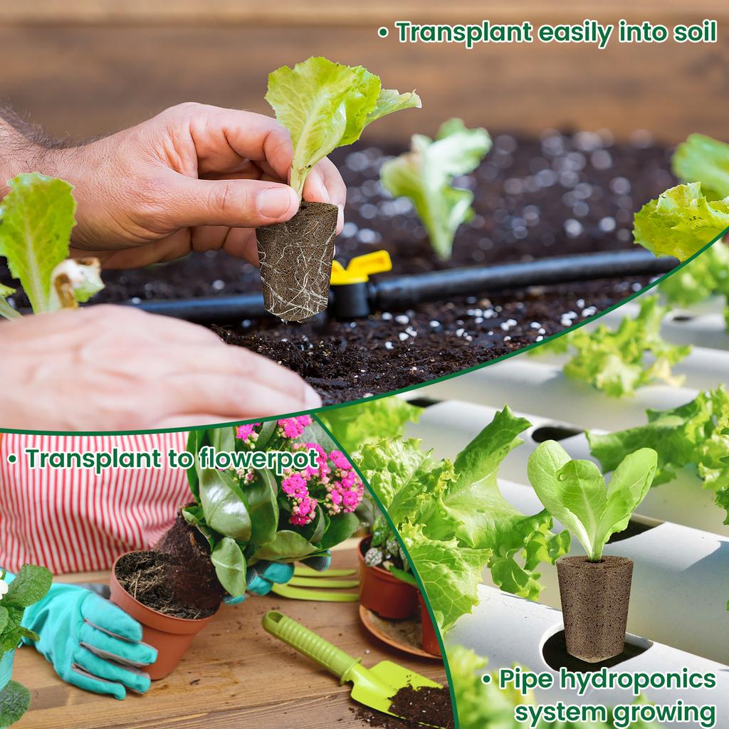 50/100 Pack Seed Starter Sponges Professional Hydroponics Sponges Kit Eco-Friendly Replacement Root Growth Sponges for Garden