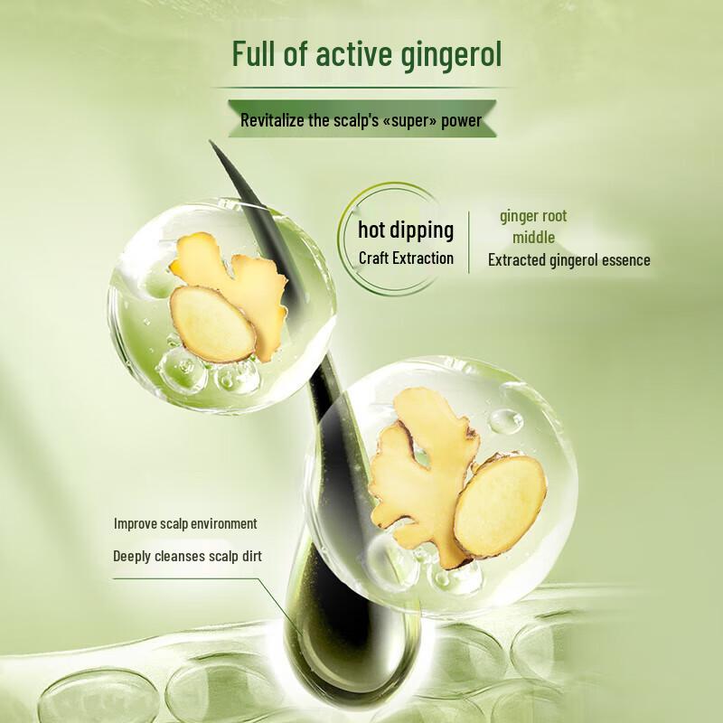 Schwarzkopf Oil Control Ginger Essence Shampoo & Hair Oil Set