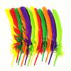 50Pcs Christmas Decoration Long Turkey Feather Diy Headband Creative Casual Wedding Angel Wings Feather Hair Accessories