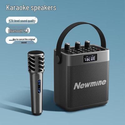 Портативная Bluetooth-колонка для караоке Newman K519, штекер CN (адаптер в комплекте)