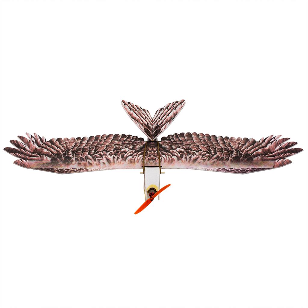 Dancing Wings Hobby E1904 EPP RC Airplane Eagle Plane 1430mm Electric Powered Aircraft Unassembled PNP Version DIY