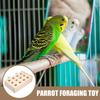 Parrot Foraging Bite Chew Entertaining Enrichment Shredding Cage Accessory Large Medium Budgie Macaw Cockatiel Conure Parakeet