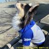 Official MLB Los Angeles Dodgers Shohei Ohtani Model Baseball Uniform Hoodie, Size Small, for Pets