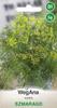 Garden Dill Emerald 5g Dill Seeds -