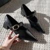 Fashion Metal One-strap Thick-heeled Shoes Autumn New Style Pointed Shallow Mouth Non-slip Wear-resistant Mid-heel Shoes