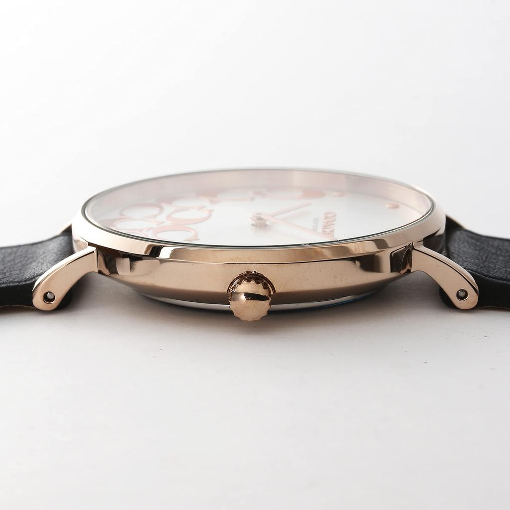 Часы Perry 14503802 Синие [Coach] Женские [Товар]