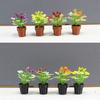 3pcs Multistyles Green Leaves Plant Pot Mini Bonsai Garden Home Model  Doll House Accessories