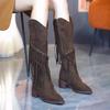 Fashion Luxury Shoes for Women 2024 Fashion Bohemia Knee-length Women's Boots New Pointed Tassels Faux Suede Boots Ladies Platform Shoes