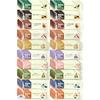 AGF Blendy Stick Cafe Au Lait Type 10 Variety Assortment (80 sticks (8 each type) assortment)