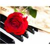 5D DIY Алмазная картина Фортепиано и розы Алмазная вышивка Набор для вышивки крестом Полный горный хрусталь Мозаика Домашний декор