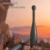 Dragon Shield Steel Macebell