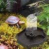 Automatic Water Dispenser for Reptiles with Feeding Bowl Tortoises