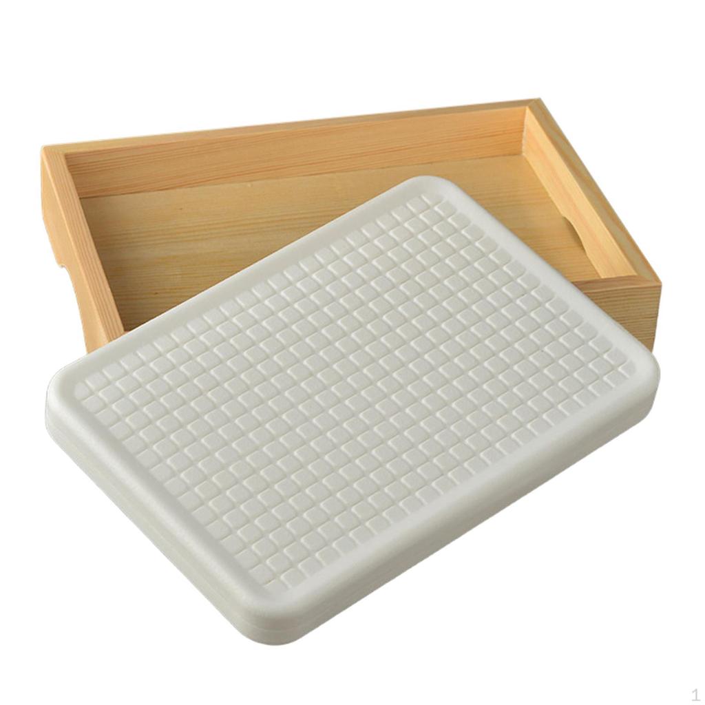 Ice Sushi Serving Platter Board Food Dish, Durable,Ice Dish for Restaurant