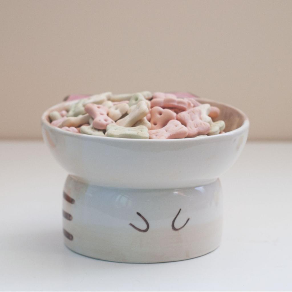 Керамическая миска для кошек с высокими ножками, миска для домашних животных, наклонная миска с защитой для шеи, декоративный керамический ящик для хранения, настольное хранилище