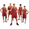 MIC DiGiSM One and Only "SLAM DUNK" SHOHOKU STARTING MEMBER SET Немасштабируемый ПВХ+АБС окрашенный полный набор из 5 фигурок