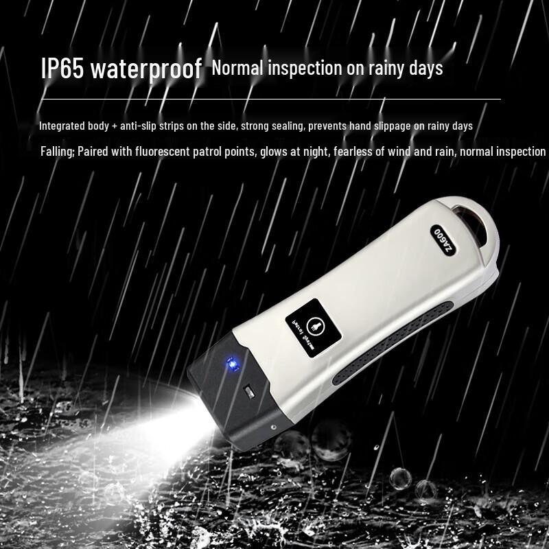 Realand Z-62DZ RFID Illuminated Patrol Device