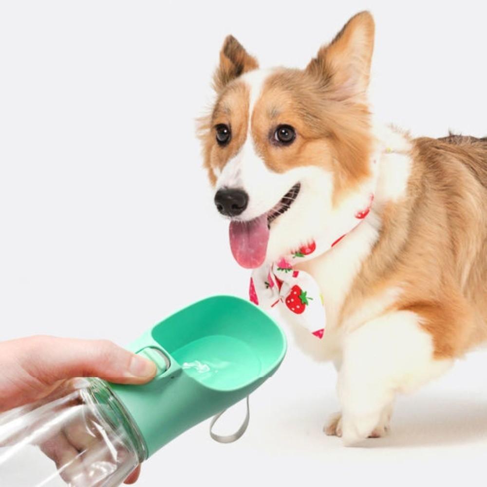 Portable Dog Water Dispenser Plastic Pet Water Feeding Supplies Outdoor Dog Water Bottle  Hiking