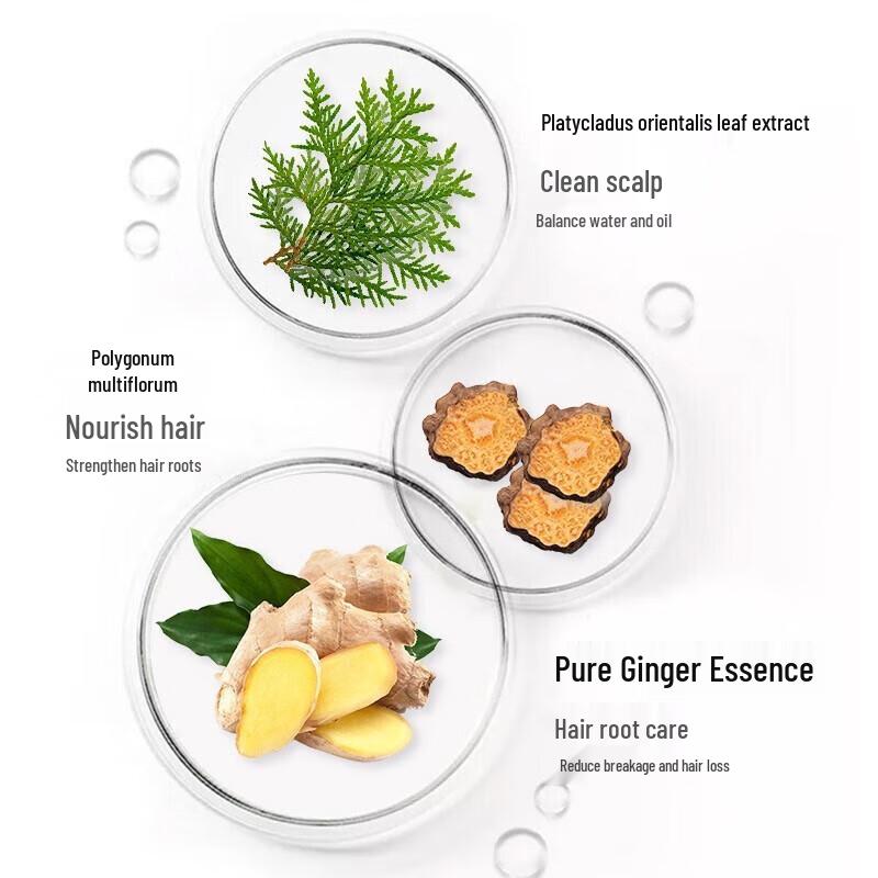 Zhuolanya Ginger Anti-Hair Loss Shampoo & Conditioner Set with Hand Cream
