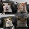 1pc CAT MEME 029 Pillow Case Square Bedroom Sofa Leisure Comfort Cushion Car Living Room Home Decoration