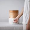 220V Electric Steamer Multifunctional Household Multi-layer Bamboo Steamer Box Steamer Breakfast Machine