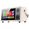 SAST SW-19 Portable KTV Machine with Dual Mics and Screen (CN Version)