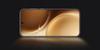 Smartphone Vivo X300 Pro 5G 16/512Gb 6.78" 120Hz Brown 1 Pc