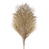 Heavy-Duty Outdoor Cleaning Broom