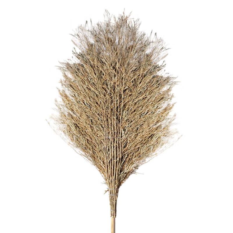 Heavy-Duty Outdoor Cleaning Broom