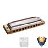 HOHNER Blues Harp/F блюзовая гармошка 10 отверстий M533066X