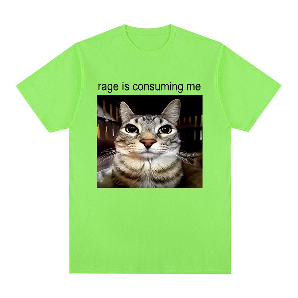 Ярость Поглощает Меня Глупый Смотрящий Кот Мем Футболка Повседневная Хлопковая Футболка с Коротким Рукавом Мужская Женская Футболка для Любителей Кошек Оверсайз