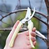 Pruners Stainless Steel Garden Shears Easy To Clean