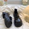 Black Retro British Thick Heel Loafer Shoes 2025 Autumn and Winter New Versatile Skirt Platform Small Leather Shoes Women