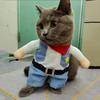 Cat Costume Clothes Funny Halloween Cosplay Cowboy Pet Outfits For Small Medium Dogs Cats Creative Novelty Kitten Party Clothing