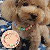 Pet Collar Candy Colors Decor Accessory Multi-color Fashion Dogs Faux Pearls Necklace Loop