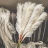 4 Pack 80cm Fluffy Artificial Pampas Grass Table Vase Decoration Large Bouquet Home Wedding Party Birthday Mother's Day Decoration