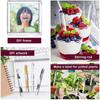 20Pcs Clear Reusable Ice Cream Sticks Summer Ice Cream Bars Rose Gold Acrylic Popsicle Sticks