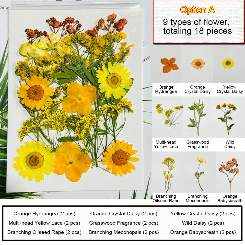 Dried Pressed Flowers For Resin Crafts, Flower Natural Dried Fillers, Assorted Real Natural Bulk Dry Floral Leaves For Scrapbook