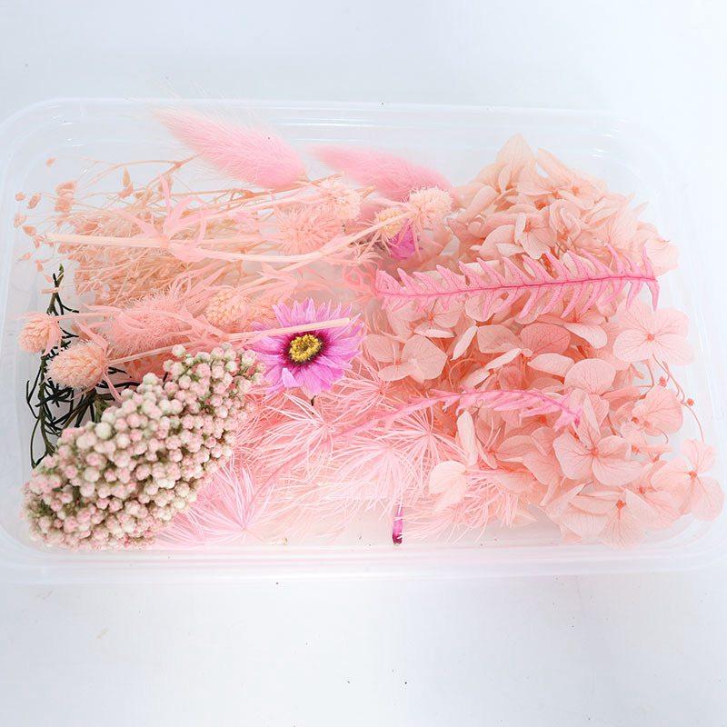 Preserved Fresh Flower Rabbit Tail Grass Dried Flower Hydrangea Dried Christmas DIY Material Package