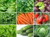 Juice Paradise Set of Seeds / 9 Varieties of Vegetable Seeds / Non GMO / Organic