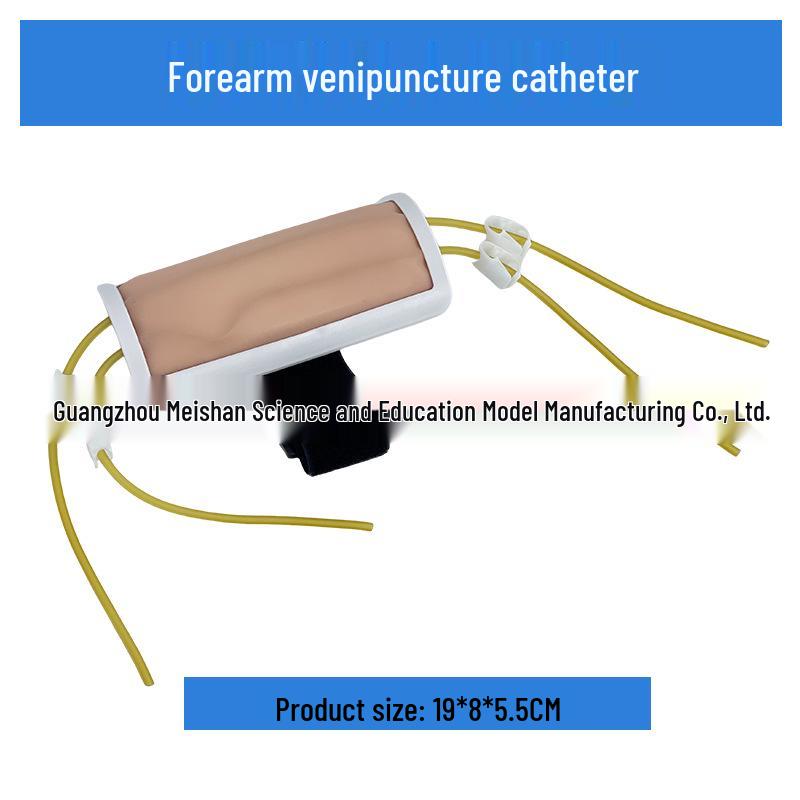Multifunctional Venipuncture and Injection Training Arm