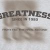 Mens Oversized Streetwear Crewneck Sweatshirt With Letter Print Fall Casual Long Sleeve Top