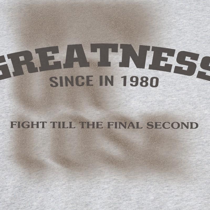 Mens Oversized Streetwear Crewneck Sweatshirt With Letter Print Fall Casual Long Sleeve Top