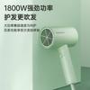 Feike's Borui High-Power Hair Dryer - Jade Green PH1628