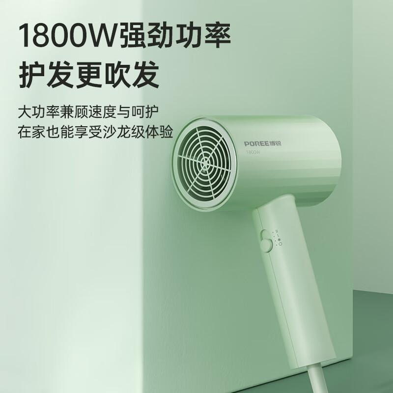 Feike's Borui High-Power Hair Dryer - Jade Green PH1628