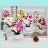 Botanical Phalaenopsis Faux Fake Flower Props For Bridal Events And Party Decor