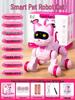 Kids' Remote Control & Touch-Sensing Robot: Smart Voice-Activated Cat & Dog for Early Education & Programming