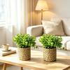 Mini Artificial Plants Potted Fake Green Plants with Grass Woven Pot Eucalyptus for Home Office Desk Living Room Bedroom Decor