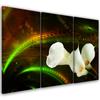 Three Piece Picture Canvas Print Białe Kwiaty Na Brązowym Tle